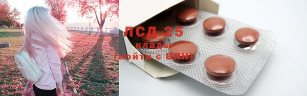 тгк Алексин