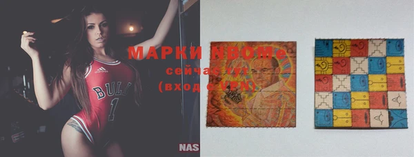 стафф Алзамай