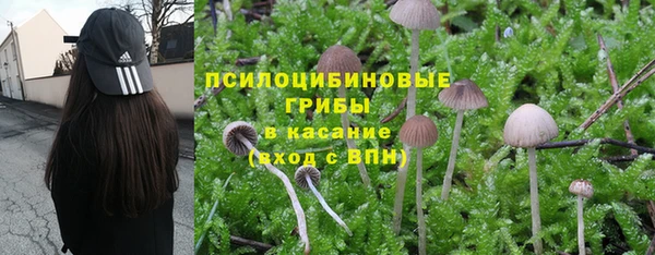 тгк Алексин