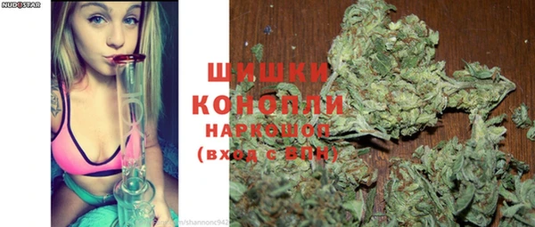 сатива Алексеевка