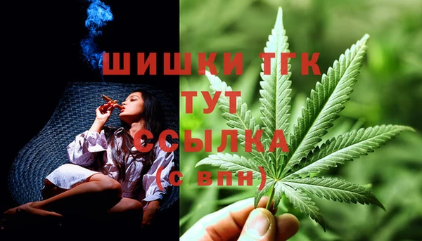 сатива Алексеевка
