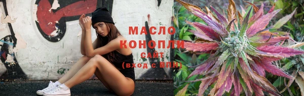 сатива Алексеевка