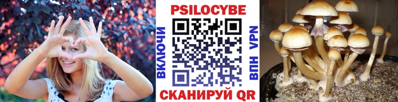 Псилоцибиновые грибы мухоморы Фатеж